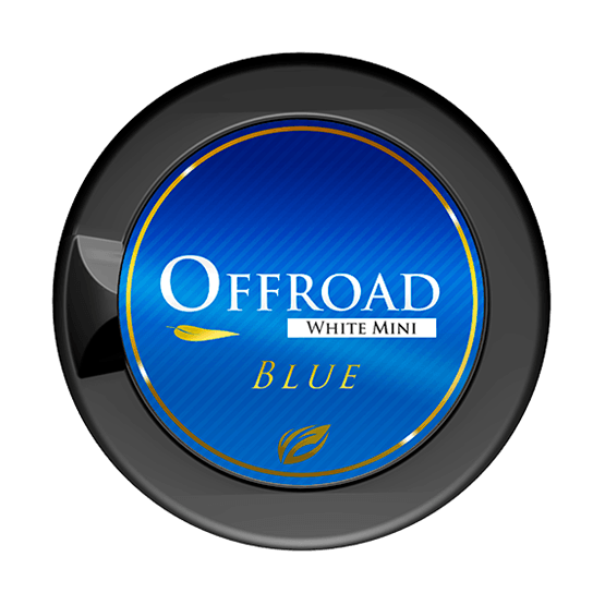 Offroad Blue White Mini