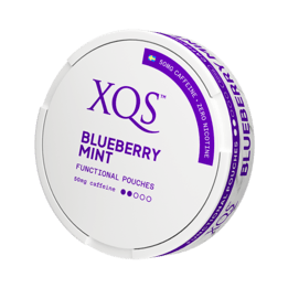 XQS Blueberry Mint Nikotinfrei