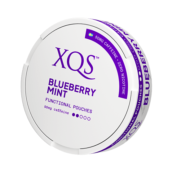 XQS Blueberry Mint Nikotinfrei