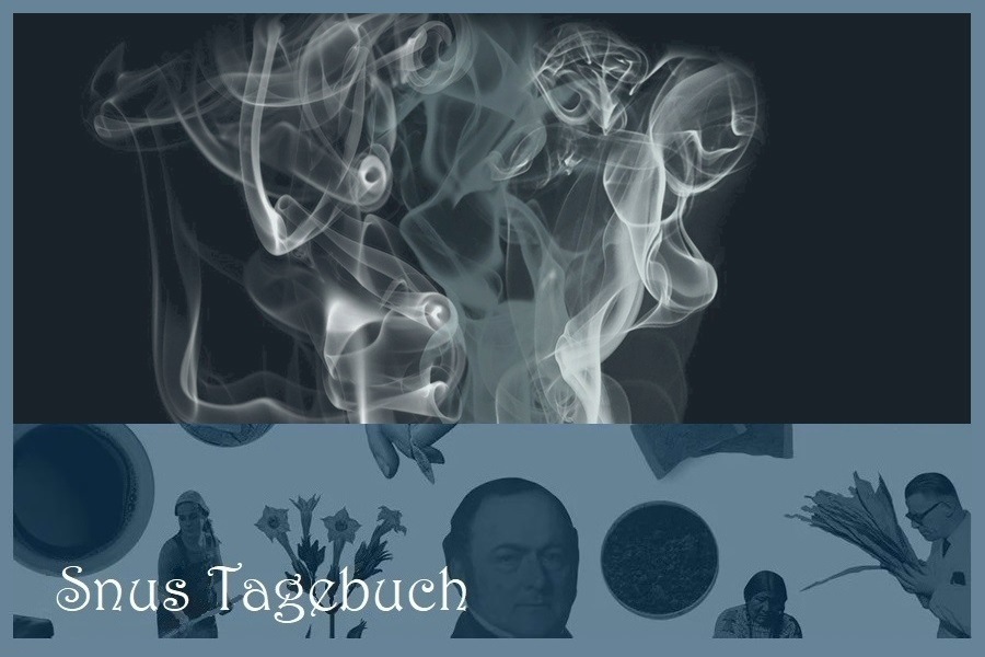 Neues Tabakproduktegesetz - und was es für Schweizer Snus-Freunde bedeutet