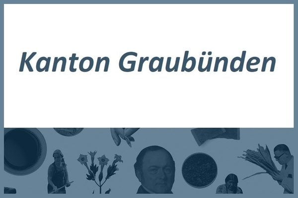 Snus Verwendung im Kanton Graubuenden 2021