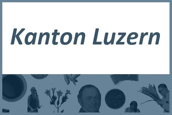Snus Verwendung im Kanton Luzern 2021