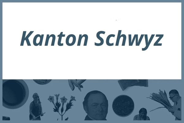 Snus Verwendung im Kanton Schwyz 2021