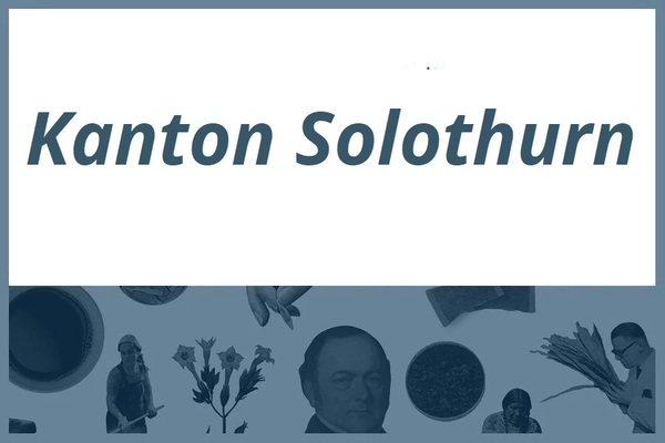 Snus Verwendung im Kanton Solothurn 2021