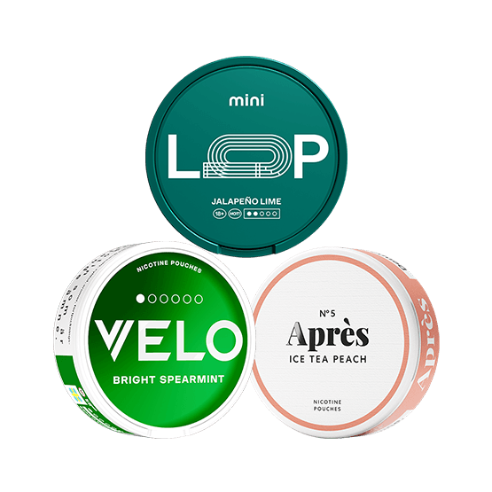 Beginner Bundle Mini